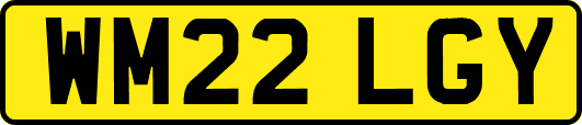 WM22LGY