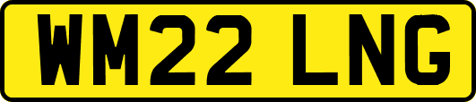 WM22LNG