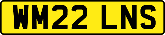 WM22LNS