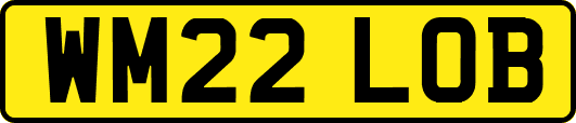 WM22LOB