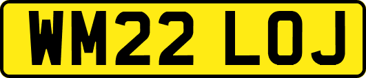 WM22LOJ