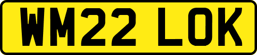 WM22LOK