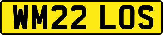 WM22LOS