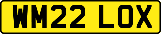WM22LOX