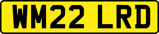 WM22LRD