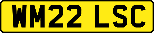 WM22LSC