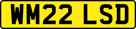 WM22LSD