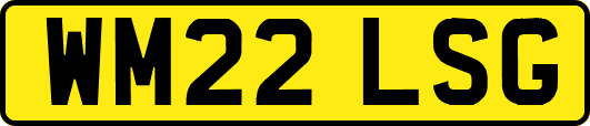 WM22LSG