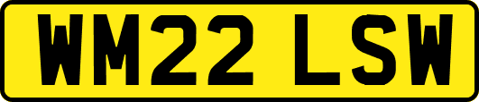 WM22LSW