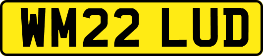 WM22LUD