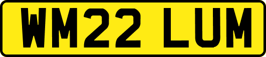 WM22LUM