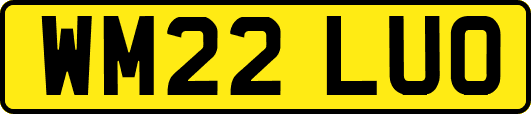 WM22LUO