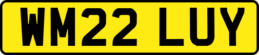 WM22LUY