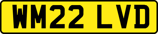 WM22LVD