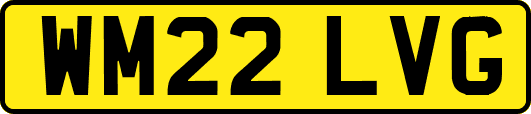 WM22LVG