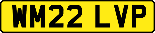 WM22LVP