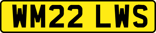 WM22LWS