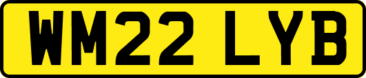 WM22LYB