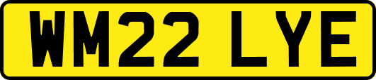 WM22LYE