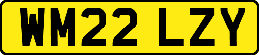 WM22LZY