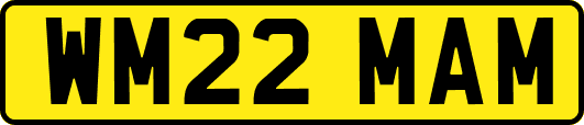 WM22MAM