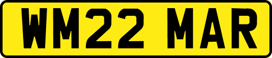WM22MAR