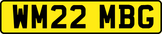 WM22MBG