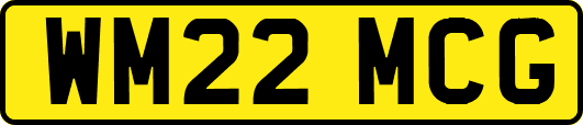 WM22MCG