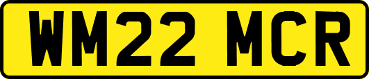 WM22MCR