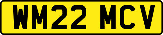 WM22MCV