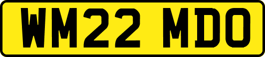 WM22MDO