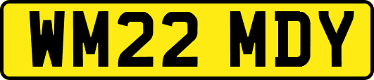 WM22MDY