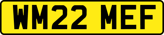 WM22MEF