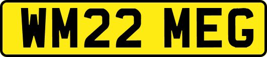 WM22MEG