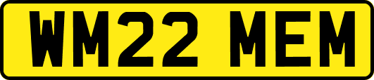 WM22MEM