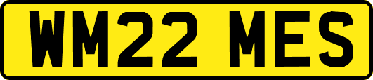 WM22MES