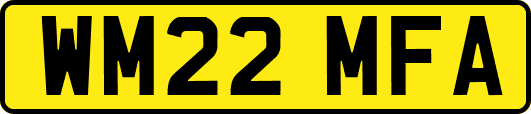 WM22MFA