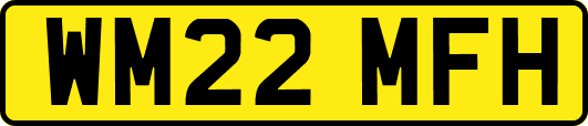 WM22MFH