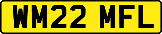 WM22MFL