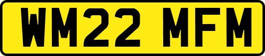 WM22MFM