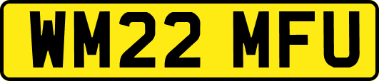 WM22MFU