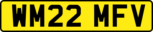 WM22MFV