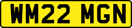WM22MGN