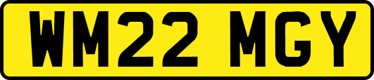 WM22MGY