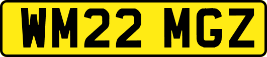 WM22MGZ