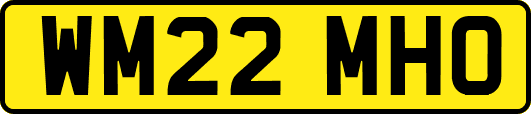 WM22MHO