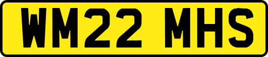 WM22MHS