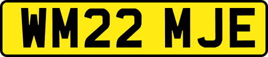 WM22MJE