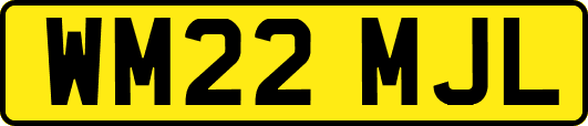 WM22MJL