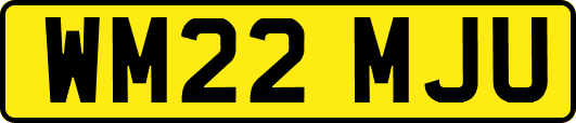 WM22MJU